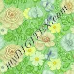 Colour:K