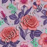 Colour:B
