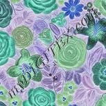 Colour:F