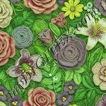 Colour:K