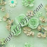 Colour:C