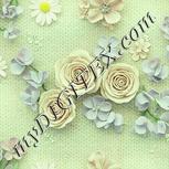 Colour:K