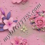 Colour:B