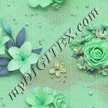 Colour:C