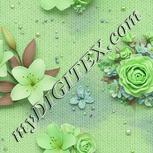 Colour:D