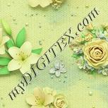Colour:K