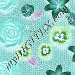 Colour:F