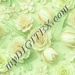 Colour:K