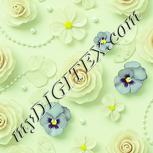 Colour:K