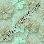 Colour:C