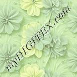 Colour:K