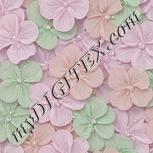 Colour:B