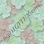 Colour:C