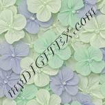 Colour:D