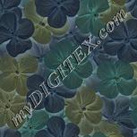Colour:F