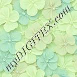 Colour:K