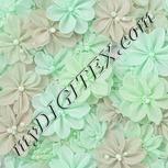 Colour:C