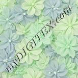 Colour:D