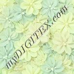 Colour:K
