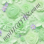 Colour:D