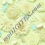Colour:K