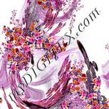 Colour:B