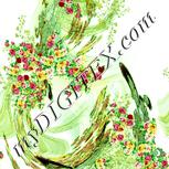 Colour:K