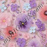 Colour:A