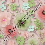 Colour:B