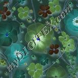 Colour:F