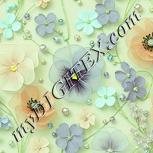 Colour:K