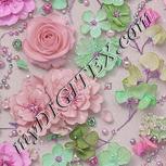 Colour:B
