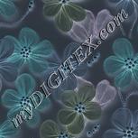 Colour:F