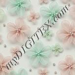 Colour:B