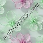 Colour:C