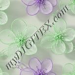 Colour:D