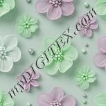 Colour:C