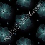 Colour:F