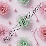 Colour:B