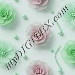Colour:C