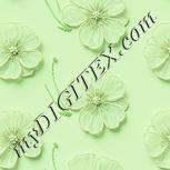 Colour:K