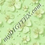 Colour:K