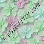 Colour:C