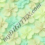 Colour:K
