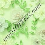 Colour:K
