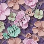 Colour:B
