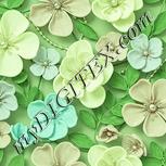 Colour:K