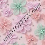 Colour:B