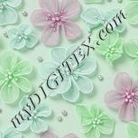Colour:C