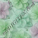 Colour:C